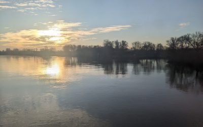 Rudern lernen auf der Süderelbe 2026